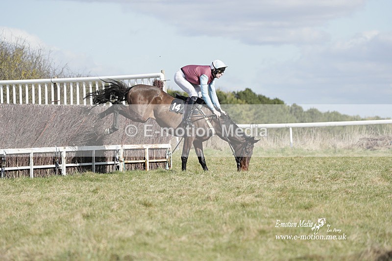 PtP 260223 472 - South & West Wilts Point-to-Point Larkhill 26/02/23
