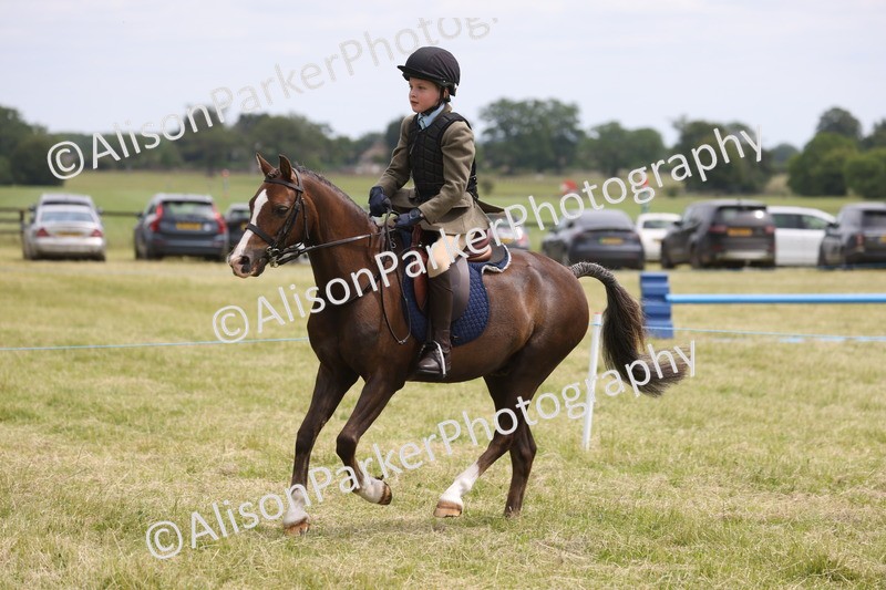 20260614-2869 - Class 22 - Open Working Hunter
