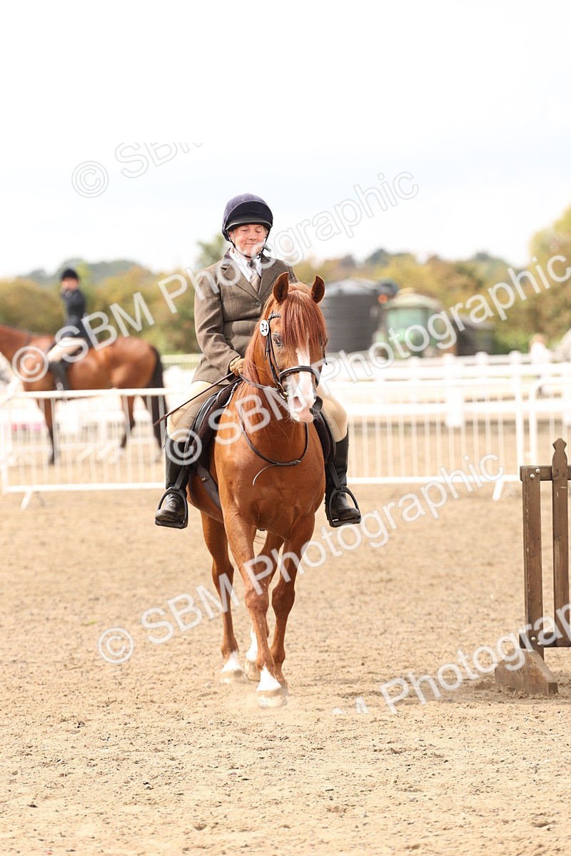 SBM_05212 - Class 56b -  Style & Performance - 50cm (20+)