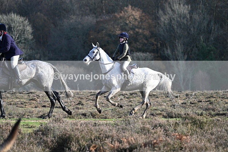 WJ7_7982 - Line 3 (no line 4 or 5)