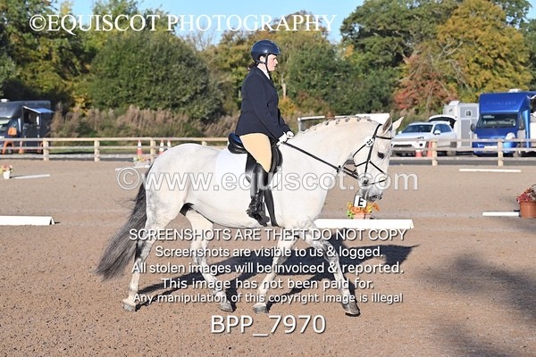 BPP_7970 - LONG ARENA PRELIM 4