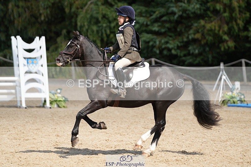 250824A-142620-38348 - 2111-Arya.Sharpe-Midnight.Master.Romeo