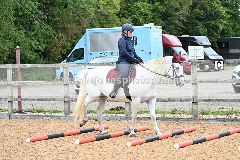 WJ7_7537 - Poles 10:00am