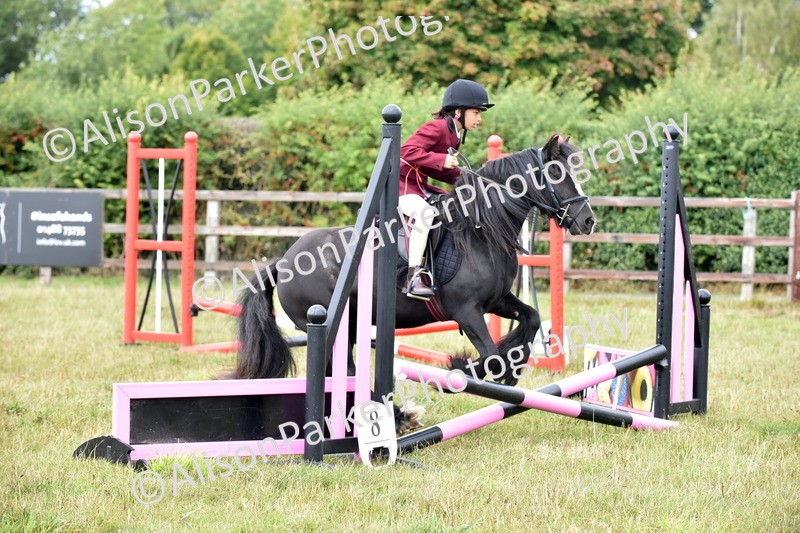 20250831-1779 - Class 8 - Hoof and Foot