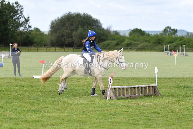 WJ5_2718 - Class 2 40cm