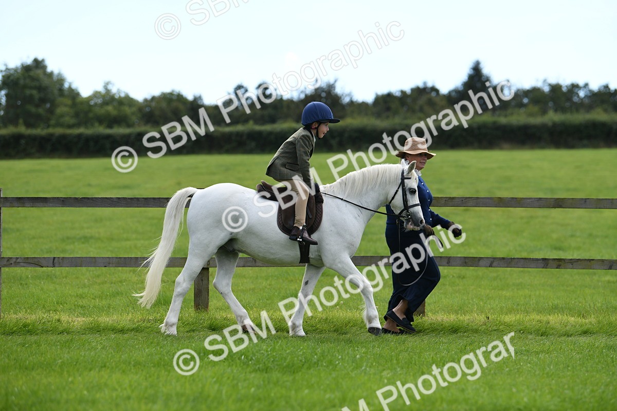 SBM_42466 - S20 - Lead Rein Mountain & Moorland Pony
