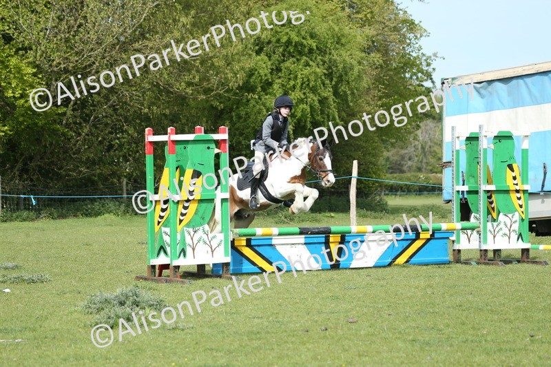 20260426-1554 - Class 14 - Novice 60cm