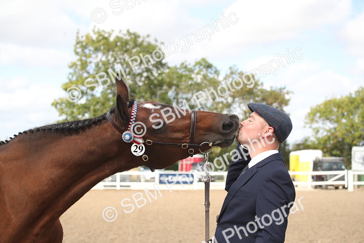 SBM_23458 - Class 604 - 2026 - Area IH Diamond