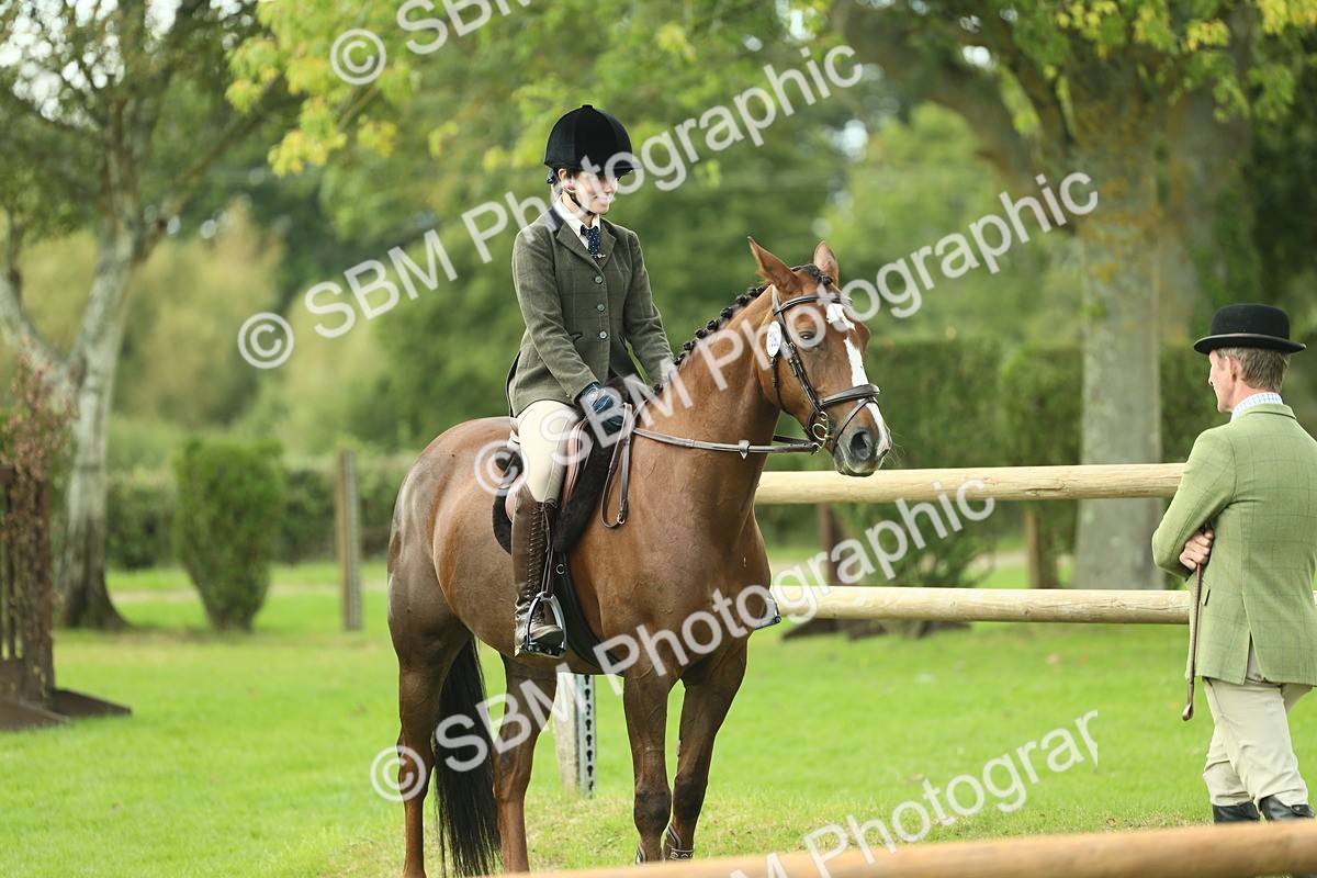 SBM_47946 - S32 - Novice & Newcomers Working Hunter