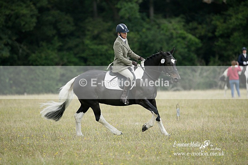 BVRC 030721 381 - Bourne Valley Riding Club Dressage 03/07/21