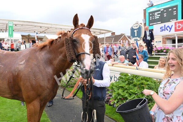 yr04092022r5-55 - Race 5 4.05pm Little Green Rascals Children's Nurseries Stakes