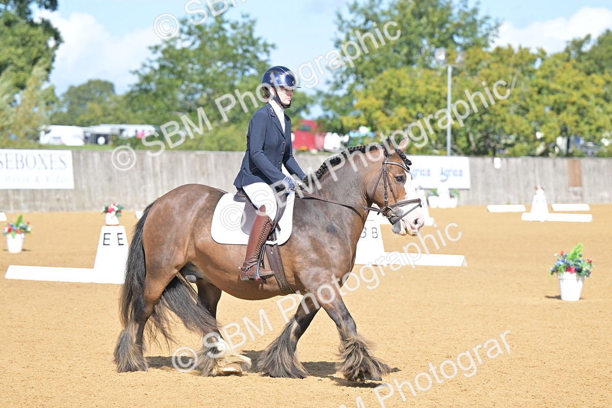 SBM_03924 - D2 - Small Tour Championship Intro 2