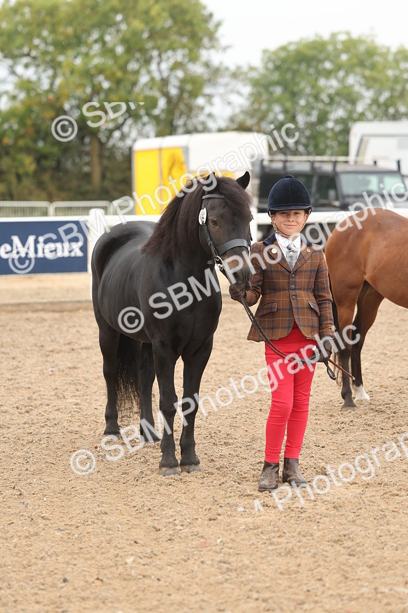 SBM_00553 - Class 13 Young Handler
