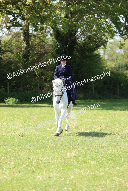 20250427-2552 - Class 20 - Working Hunter Ponies