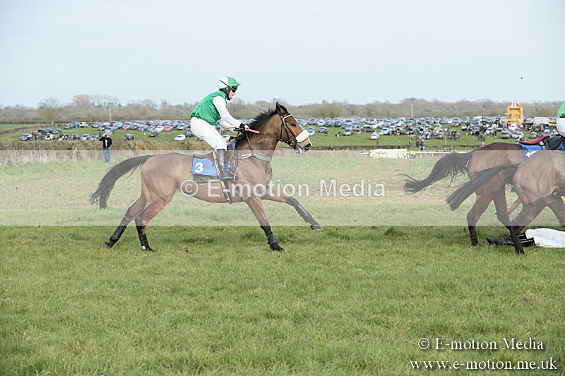 PtP 230319 445 - VWH Hunt Siddington Point-to-Point Racing 23/03/19