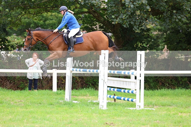 3E7A8408 - Class 8: Senior Foxhunter/1.20m open
