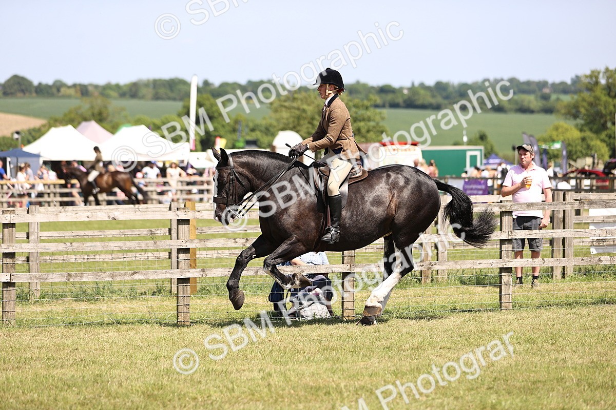 SBM_17873 - Class 81-83 - TSR Ridden Amateur of the Year - Horses
