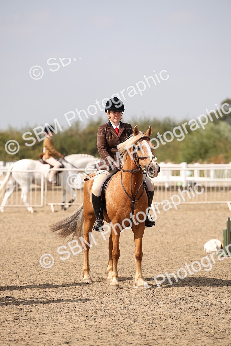 SBM_14297 - Class 407b - Working Veteran 60cm (20+)