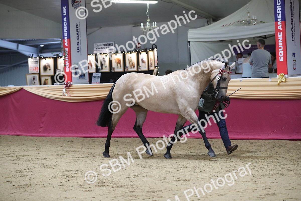 SBM_05070 - Class 8R- Regional -IH Veteran