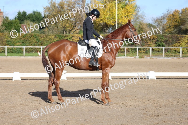 20251102-0605 - Class 4 - Novice 6