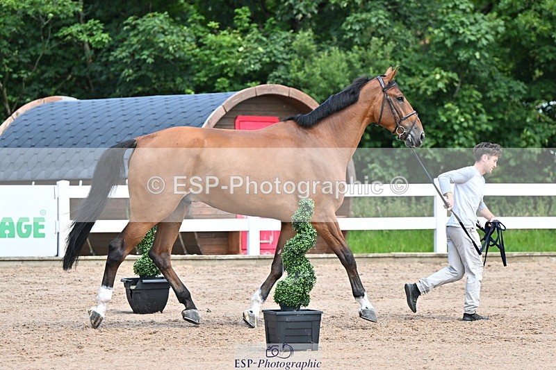 240718A-105254-01304 - Trot Up 12pm to 1pm