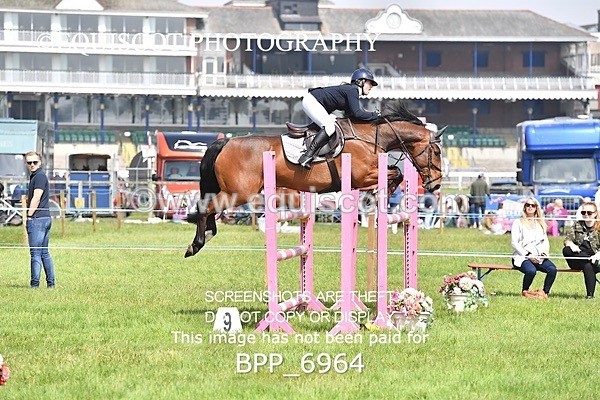 BPP_6964 - CLASS 3 RHS Fox Champ Qual (1.20m)