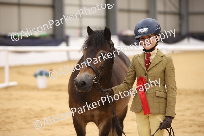 20260913-1150 - Class 110 - Bred In Other In Hand
