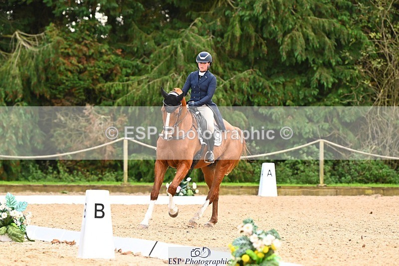231020-145816-10053 - 311-DALOUBET.MANSOLEIN.Z-Kat.Raybould-DR
