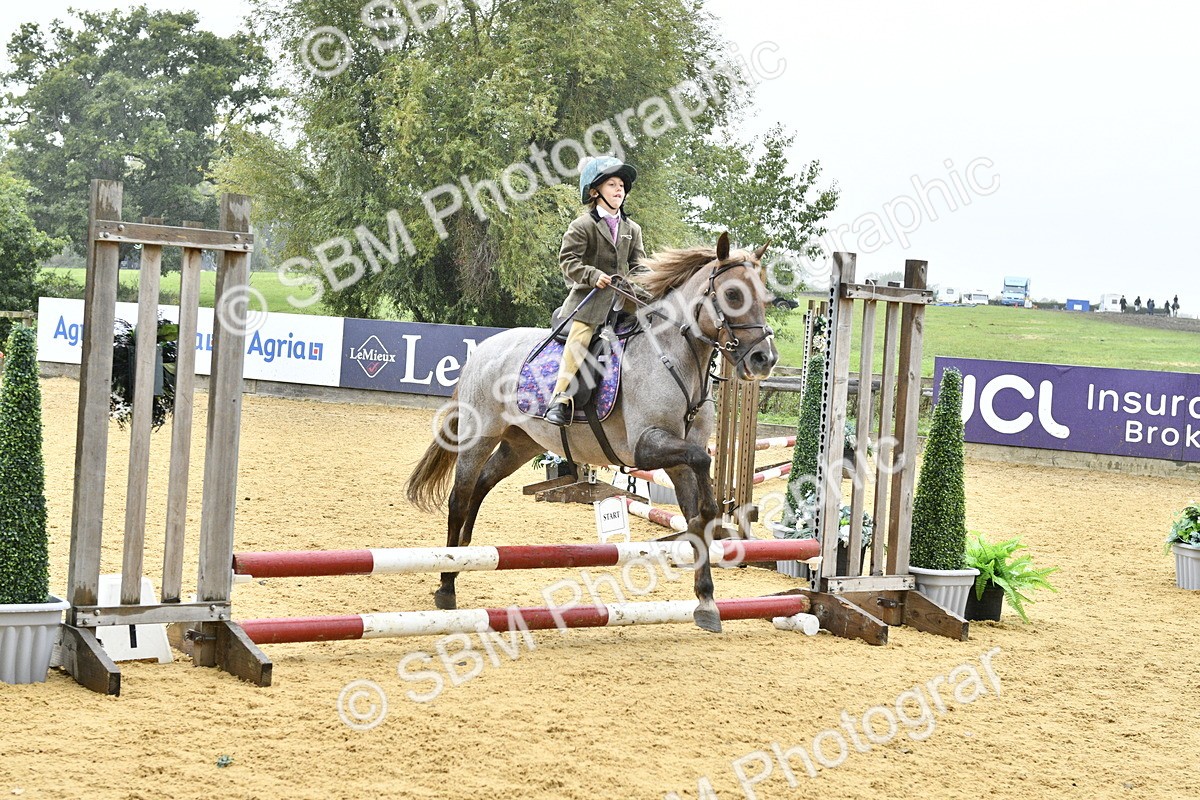 SBM_70907 - J3 - Mini Tour Junior Pony 40cm championship