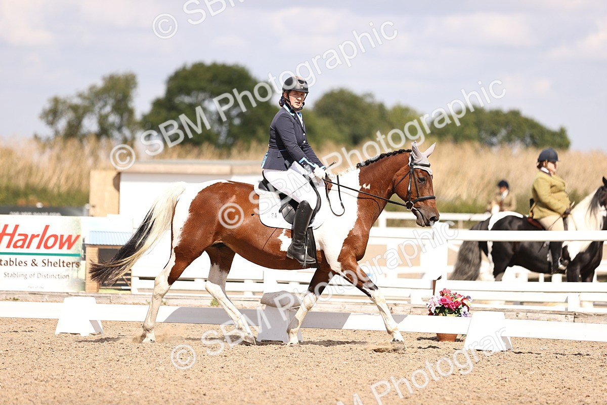 SBM_03726 - CLass 35 Intro 3