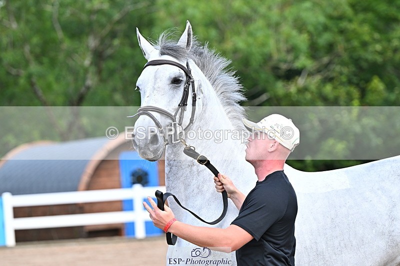 240718A-105254-01300 - Trot Up 12pm to 1pm