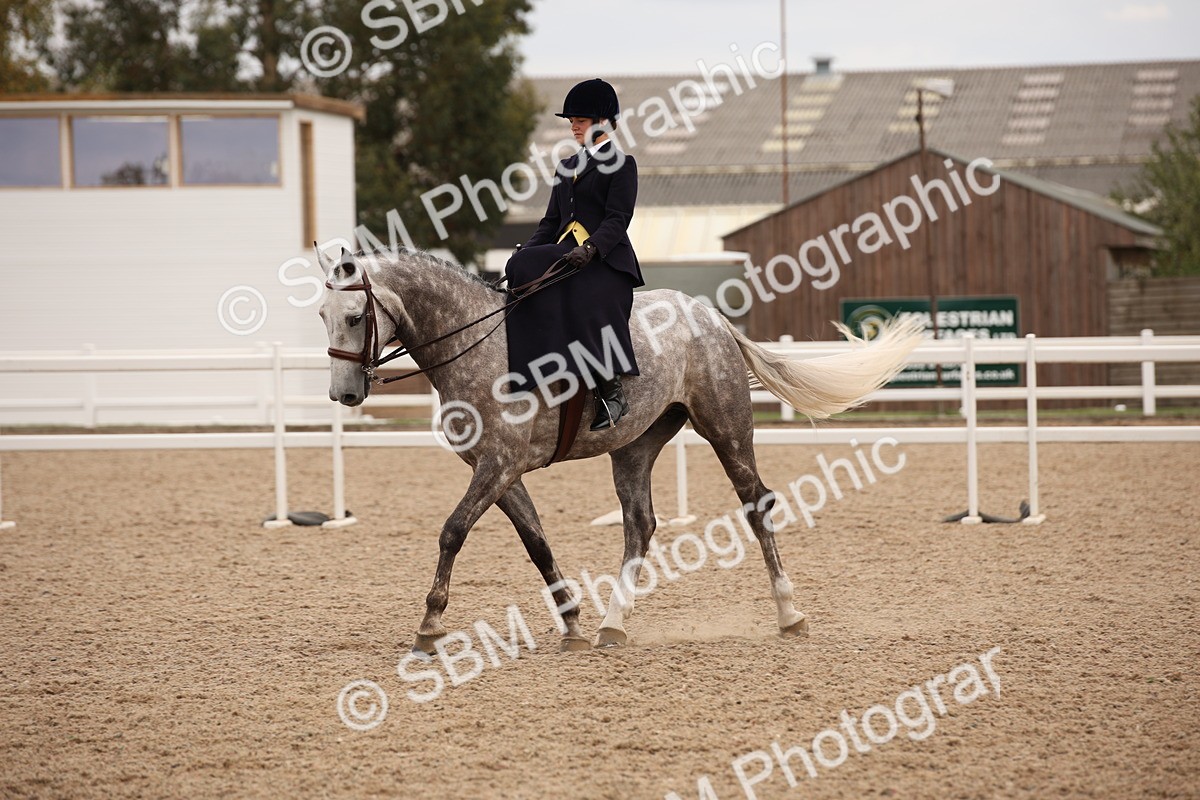 SBM_05486 - Class 22 SSA Equitation
