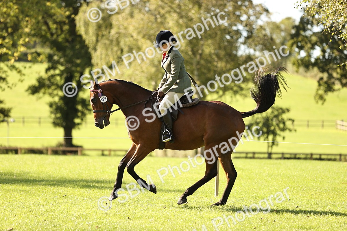 SBM_16964 - S2 - TSR Ridden Pony Showing