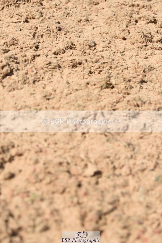 230906A-134822-00498 - Foxhunter & 1.20m Open