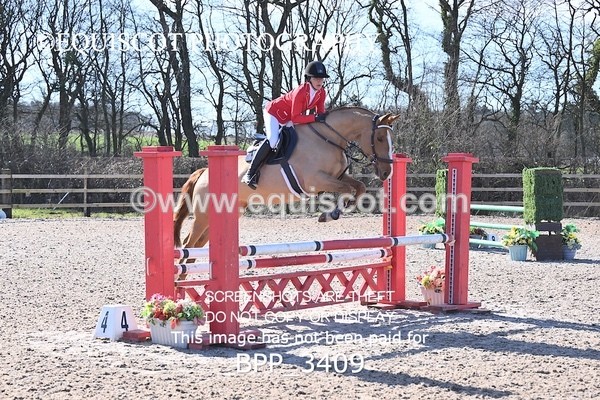 BPP_3409 - CLASS 4 Senior British Novice/ 90cm Open