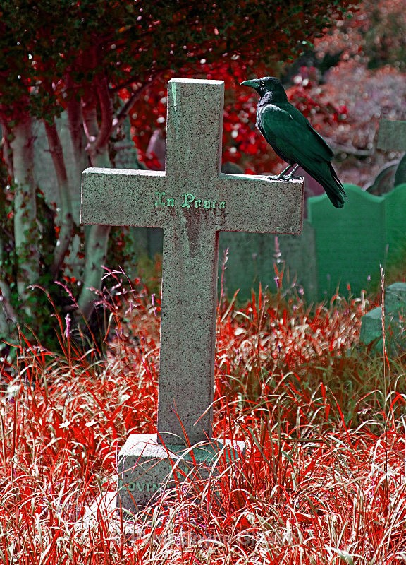 All-Hallow's Eve approaches............. - Miscellaneous