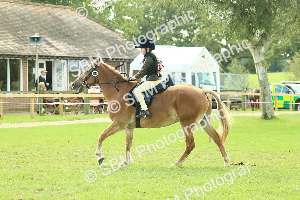 SBM_62430 - S62 - Foreign Breeds Ridden