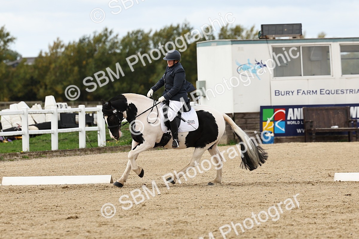 SBM_004420 - Class 69 - Novice 2