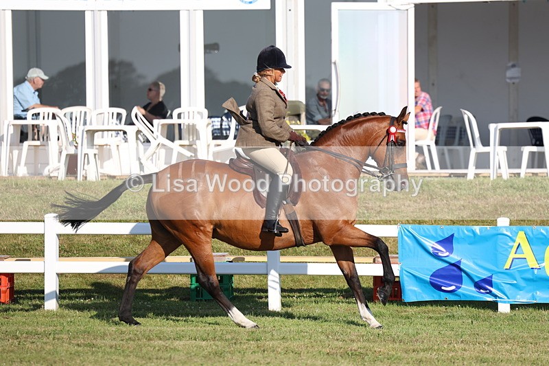 3E7A4990 - Class 1: Rising Star Small Hack/Riding Horses