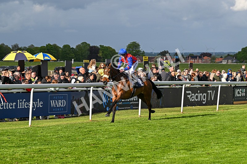 050525-Race 7-Spring Chorus-5574 - Race 7