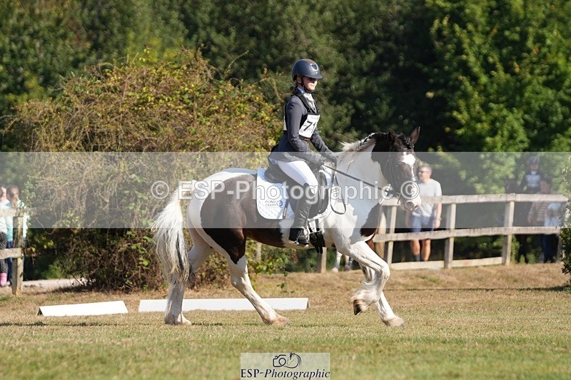 250823A-091337-25640 - Arena A