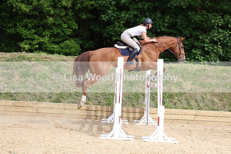 3E7A7771 - Class 8: Senior Foxhunter/1.20 open