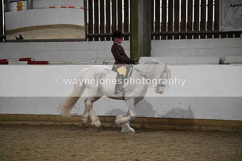 WJ7_4414 - Class 17 Ridden Cob