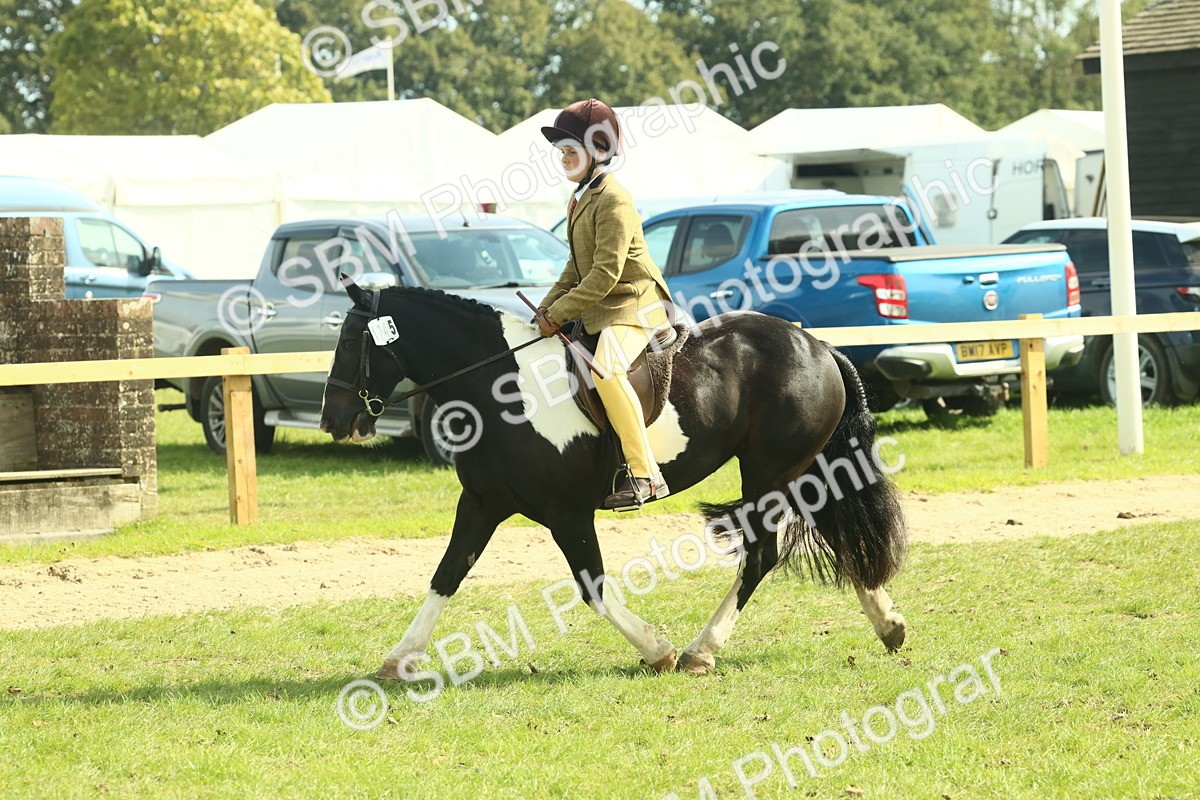 SBM_68884 - S58 - Mini Show Cob Ridden