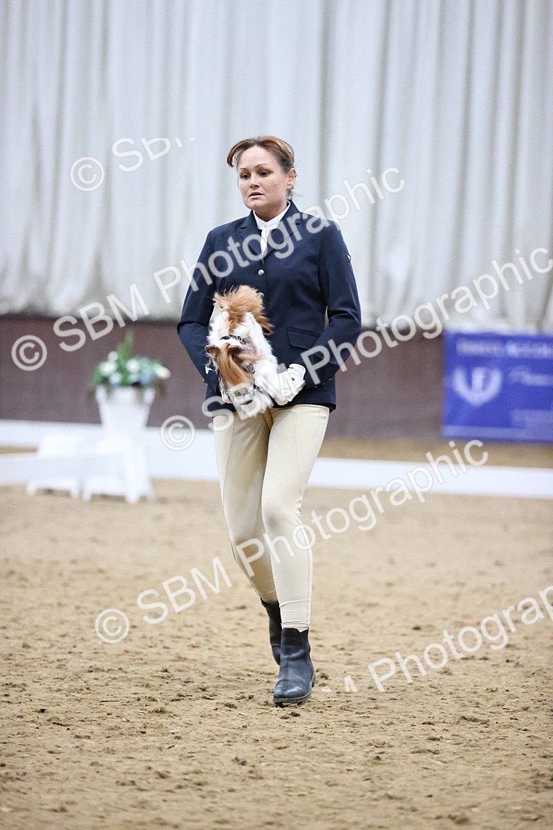 SBM_003403 - Class 13 - Dressage