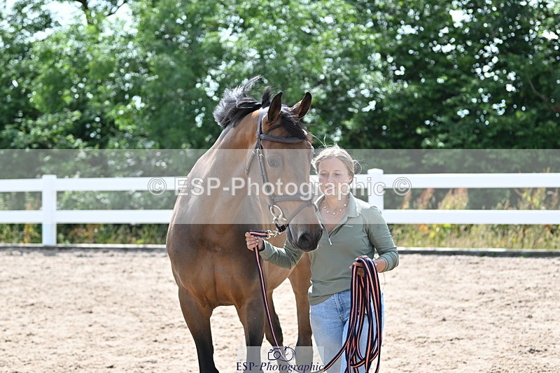 240717A-154955-03078 - Trot Up 3pm to 4pm