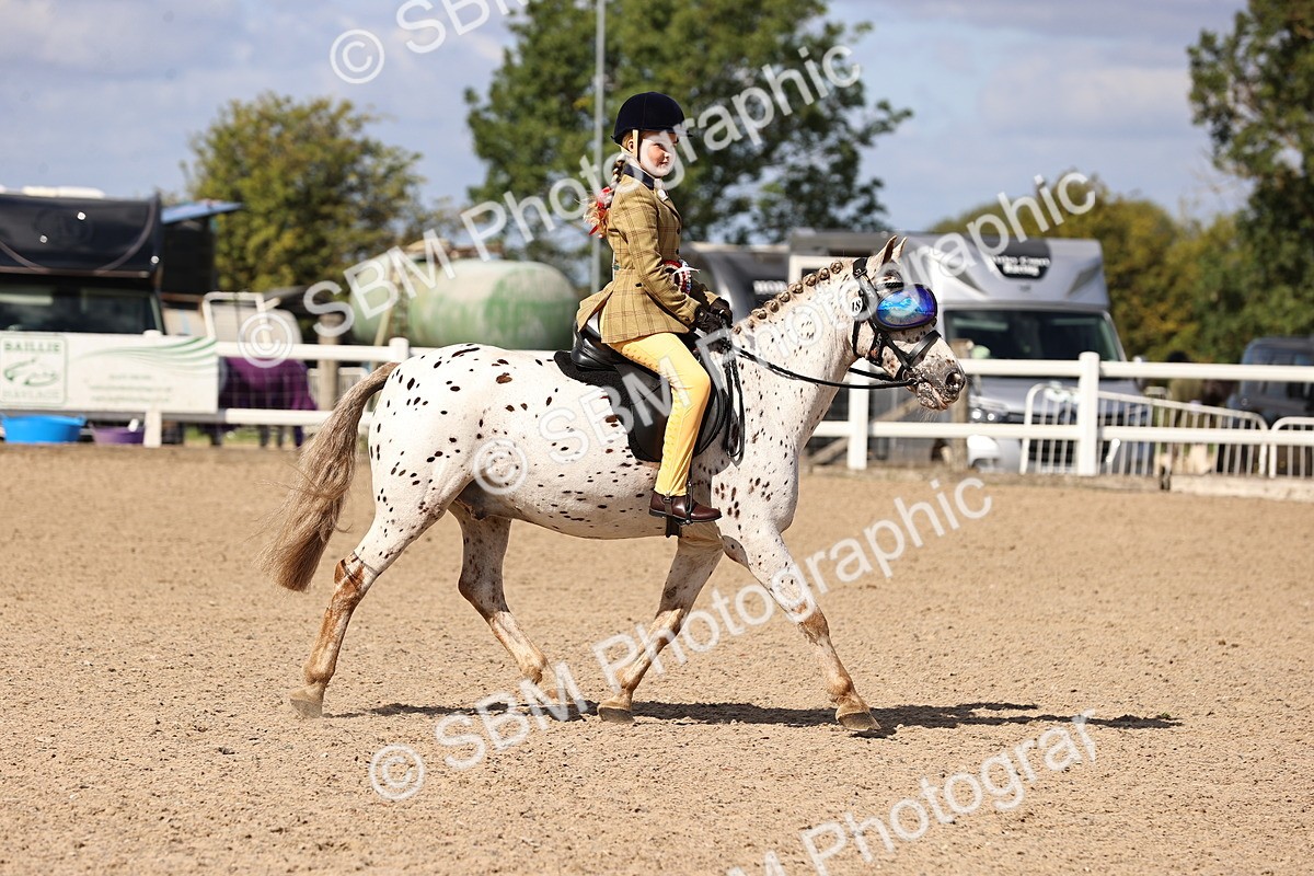 SBM_12894 - Class 409 - Grassroots Ridden - Pony