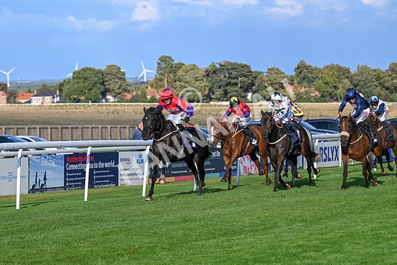 240924-Race 7-It Just Takes Time-6909 - Race 7