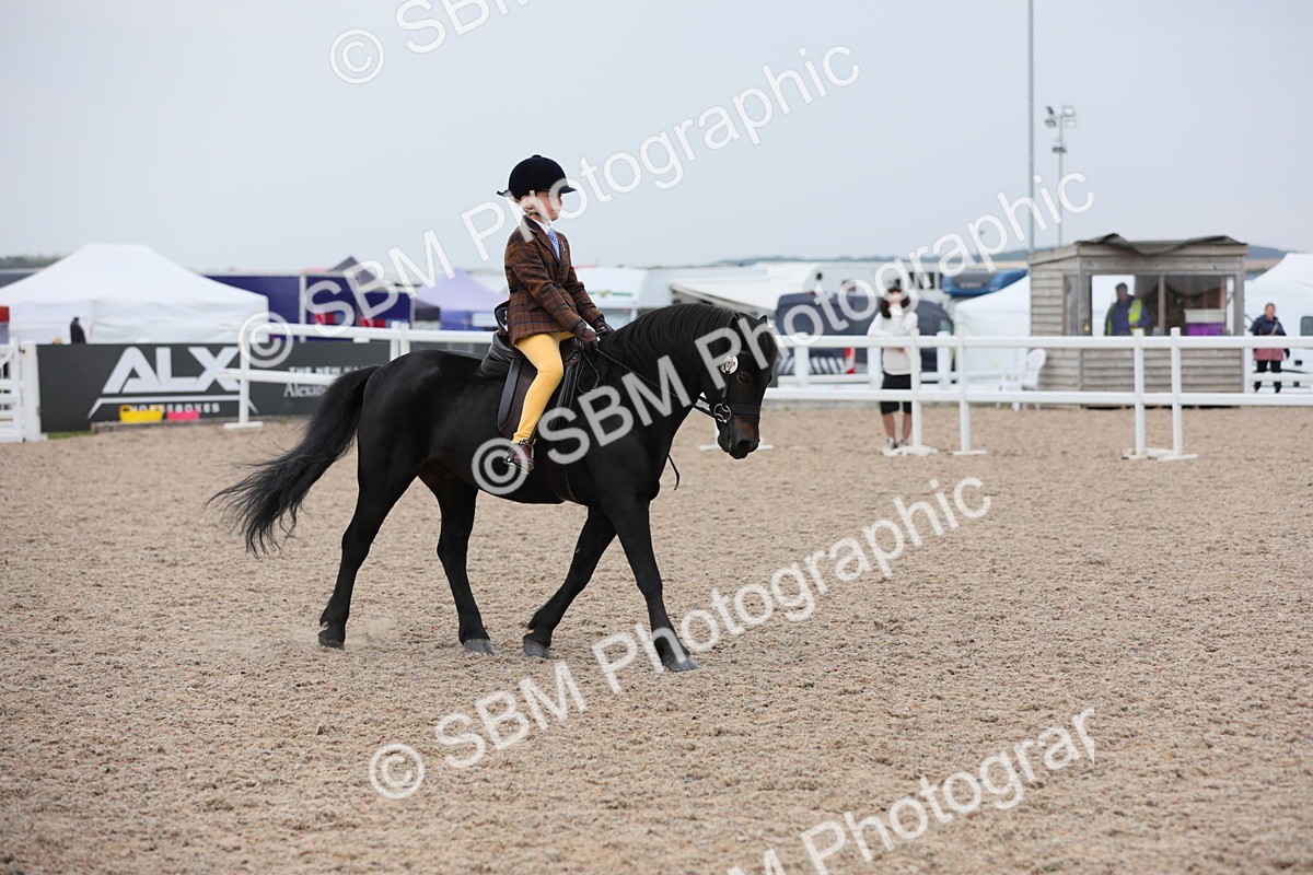 SBM_18138 - Class 316 Best Pony/Rider Combination