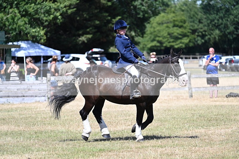 WJ7_3732 - Class 8 Ridden Veterans